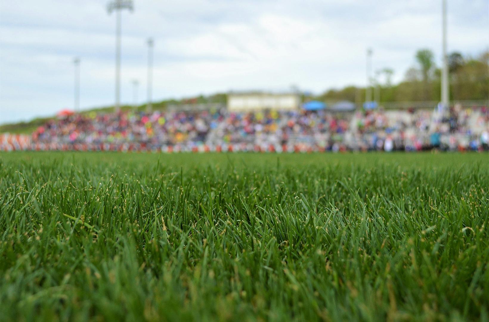 photo of a sports pitch with a blurry crowd in the background
