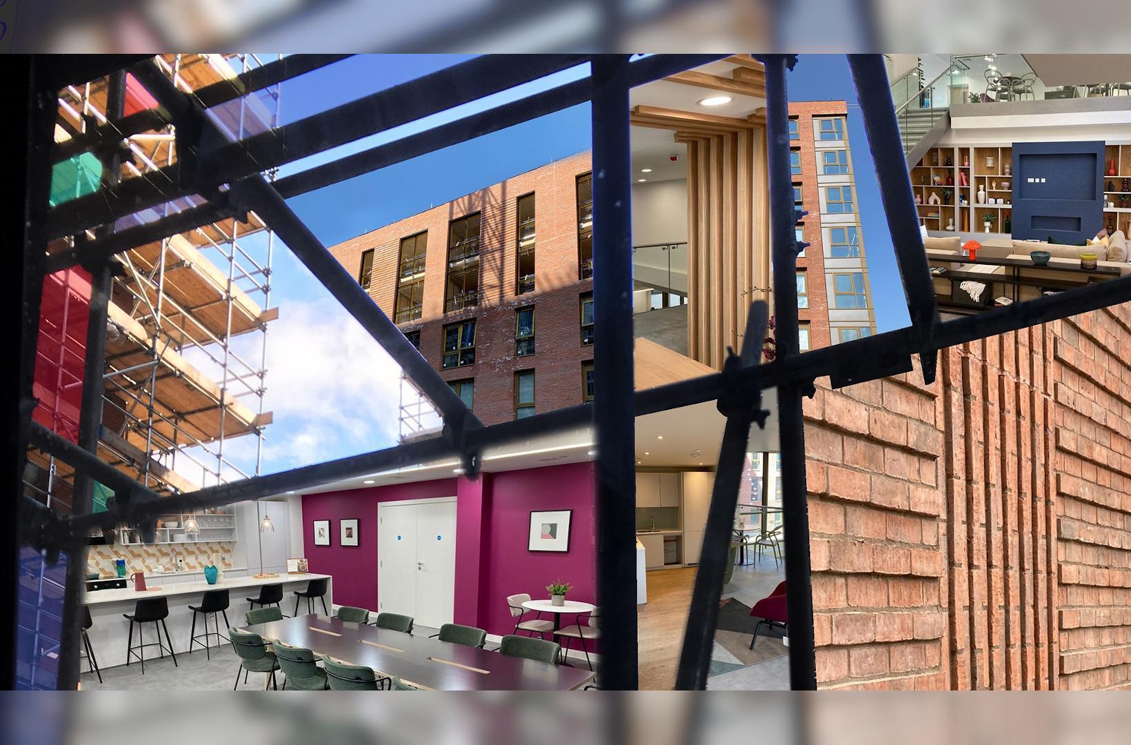 Our Domain Public Art Project