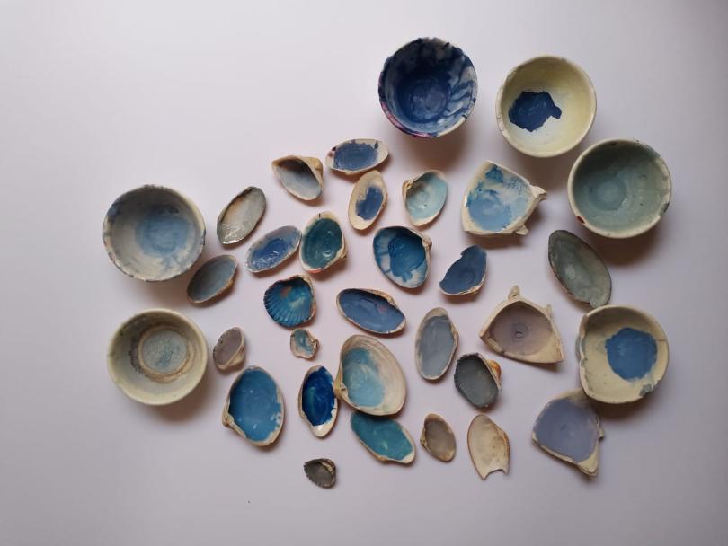 collection of shells