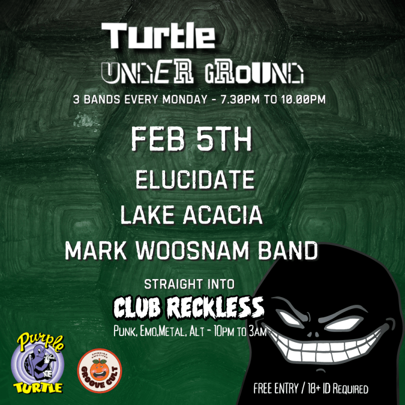 Turtle Underground  3 bands every Monday at The Purple Turtle.  Followed By Club Reckless