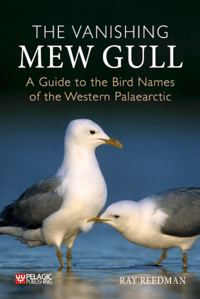 Image of The Vanishing Mew Gull book cover