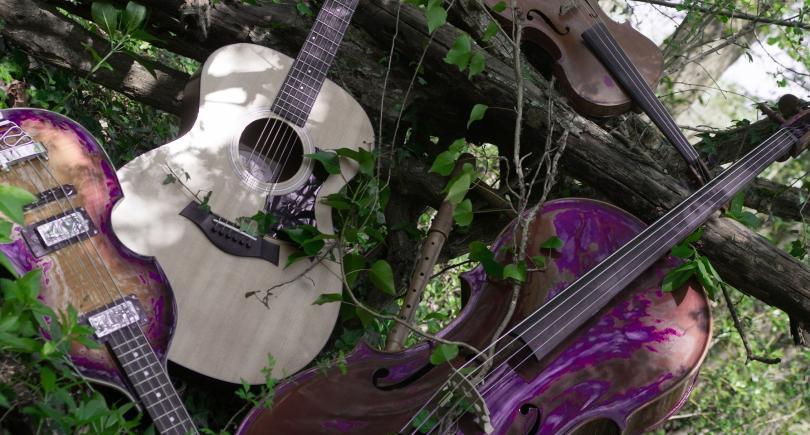Musical instruments nestle amongst ivy clad branches