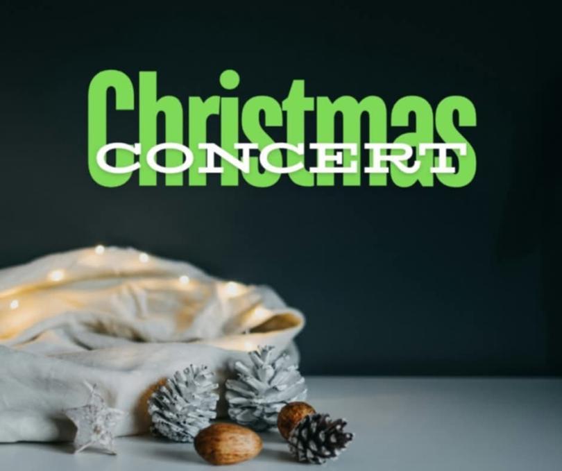 Celebrate Christmas with Shinfield Players