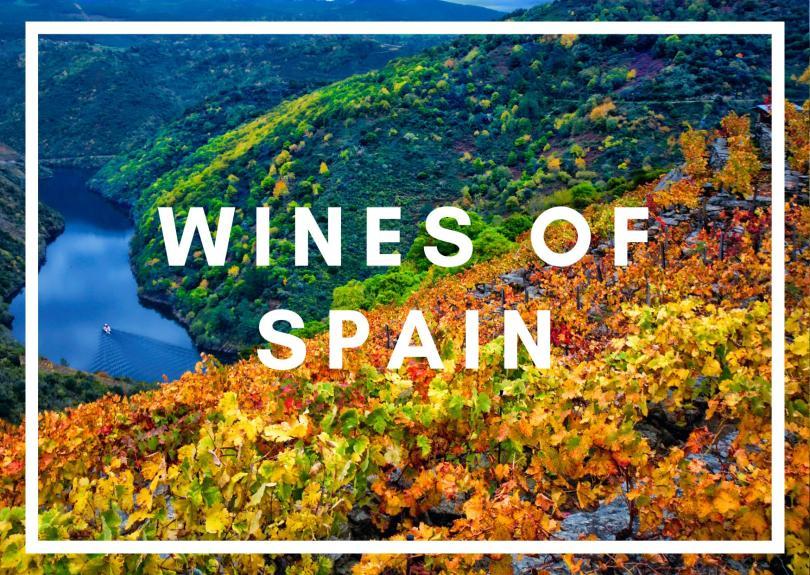 The mountains of spain with grape vines covering them