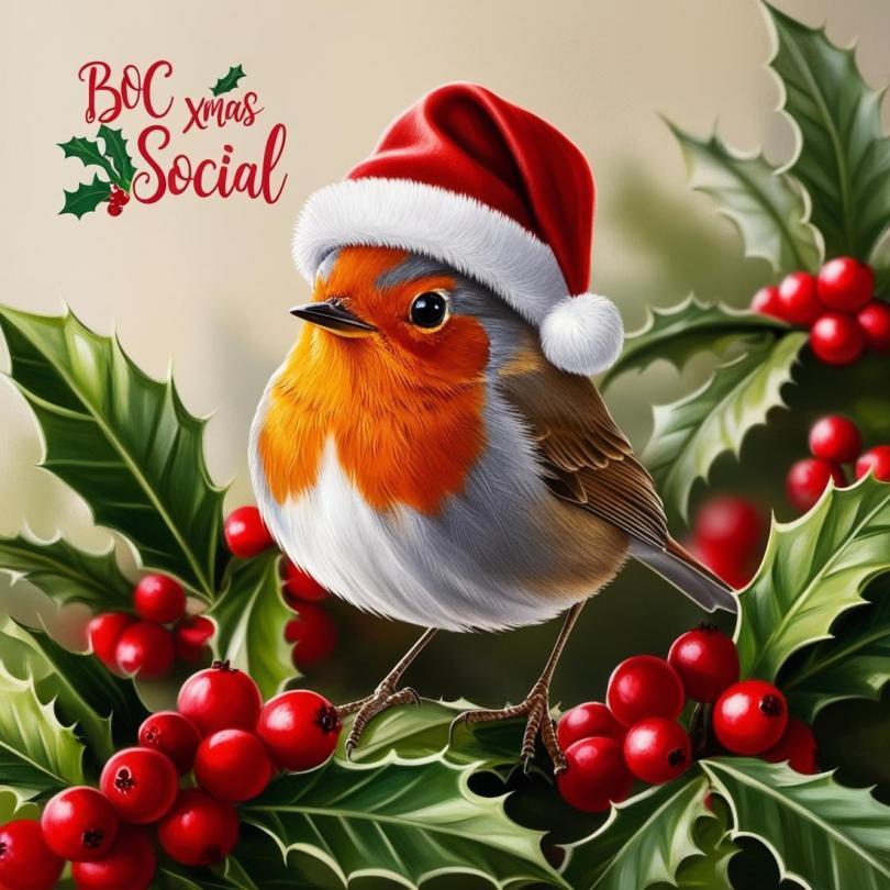 Robin in a Santa hat