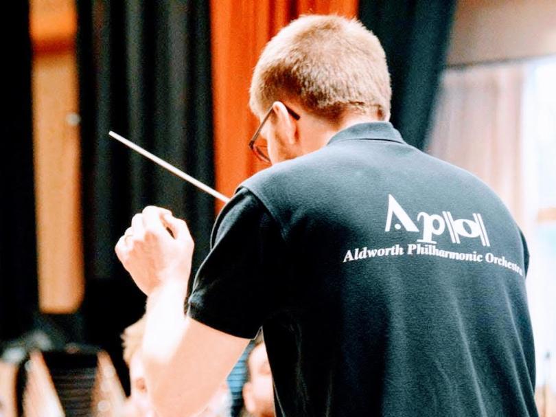 APO - The Professionals