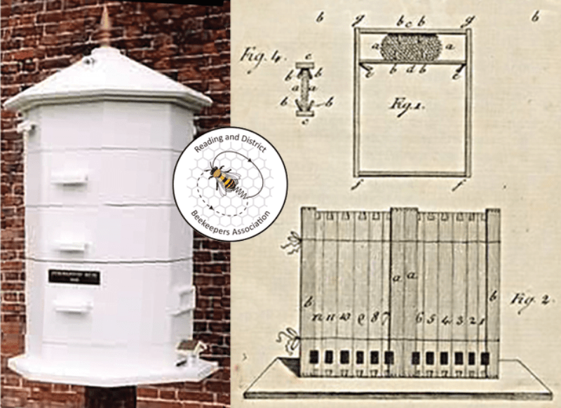 Beehive Photograph & Illustration 