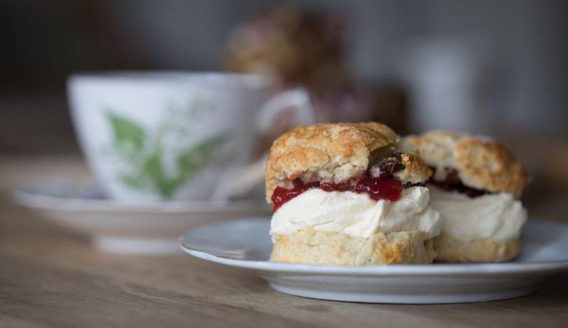 Scone with cream and jam on a plate, with a cup of tea in distance