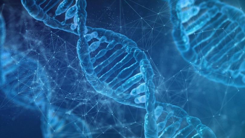 DNA helix