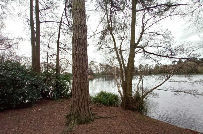 Estates and Manors of Earley