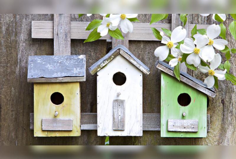 Home made bird boxes at the Museum of English Rural Life