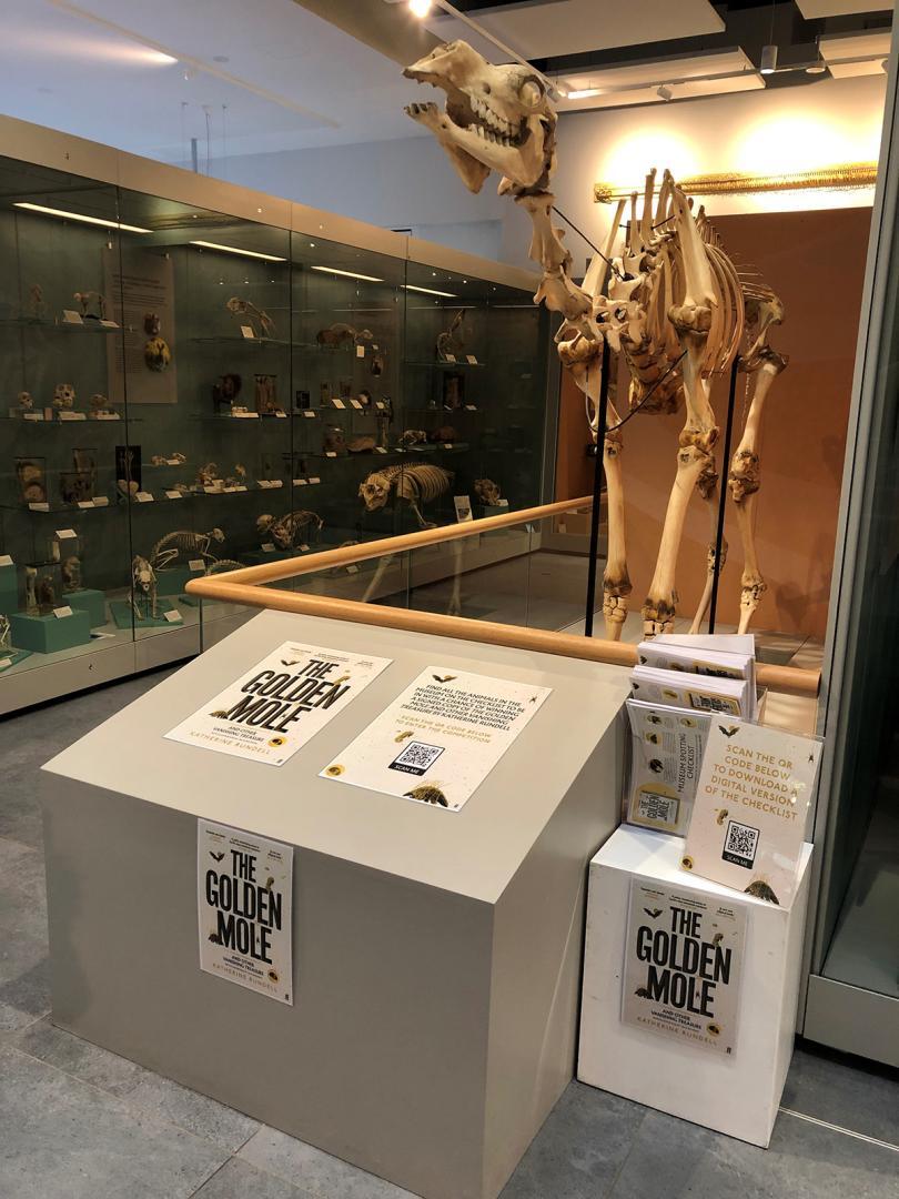 The Golden Mole Museum Challenge