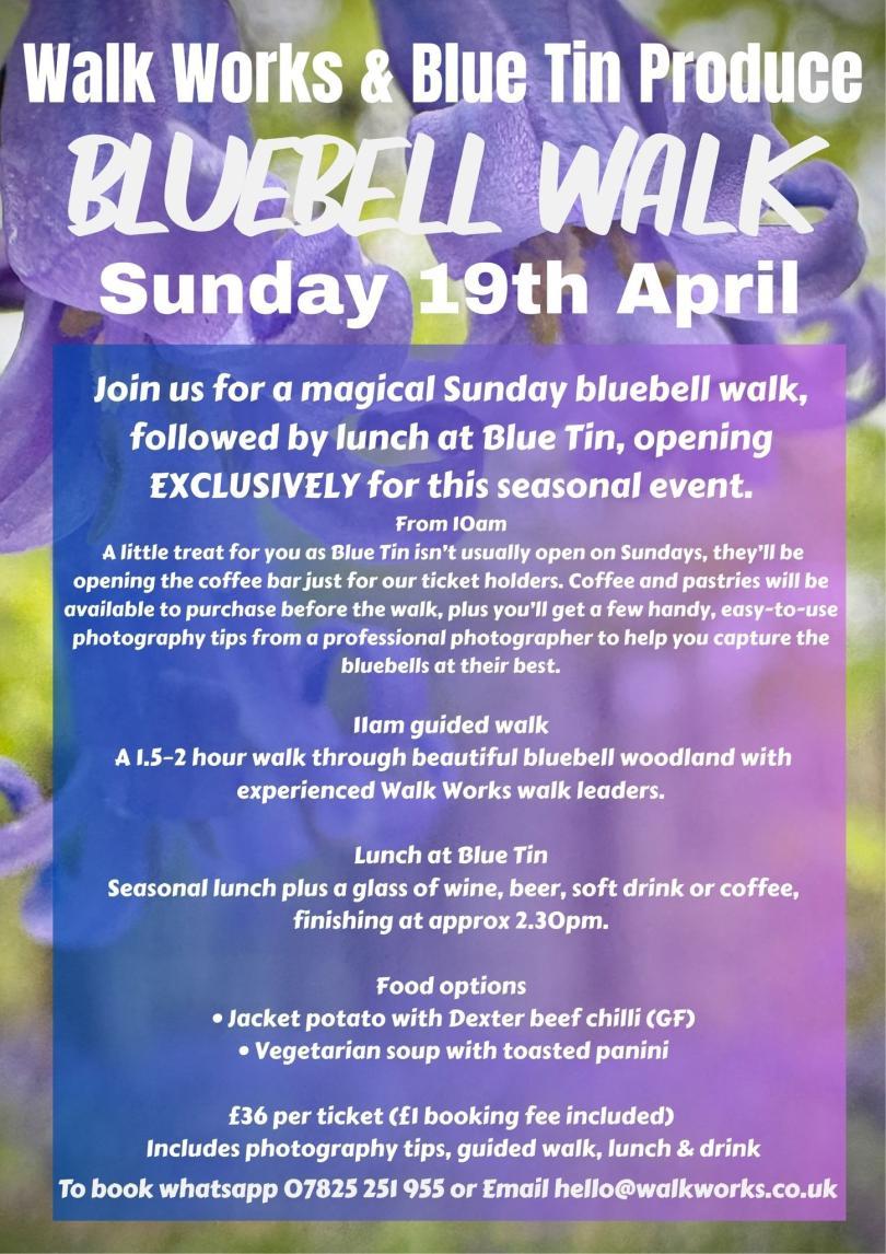 Bluebell Walk & Lunch from Blue Tin