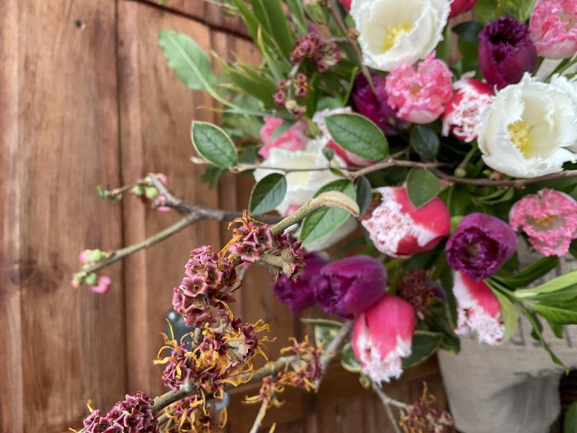 naturally styled bouquet of pink and white fringed tulips, pink and orange flowering witch hazel branches and vibrant green foliage against brown wooden door