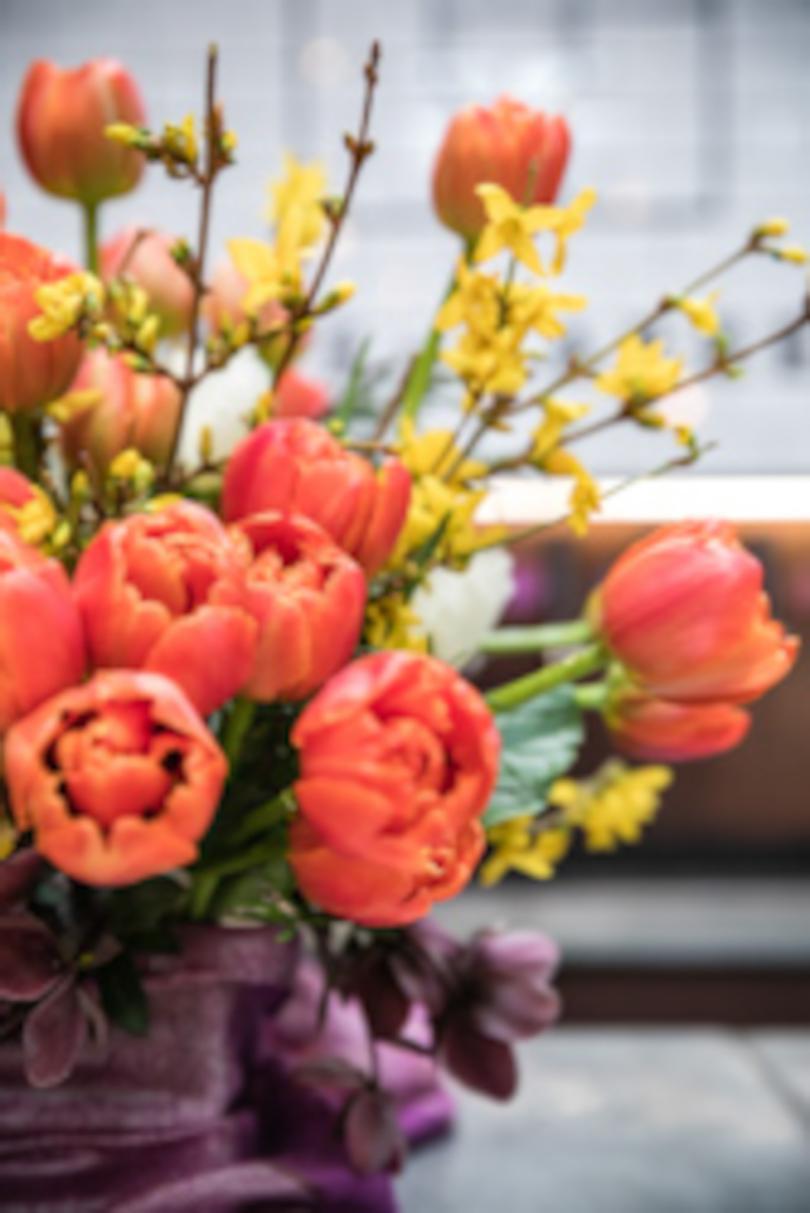 Bouquet of bright orange tulips with long stems of delicate yellow forsythia in a shallow container tied with a lilac satin fabric