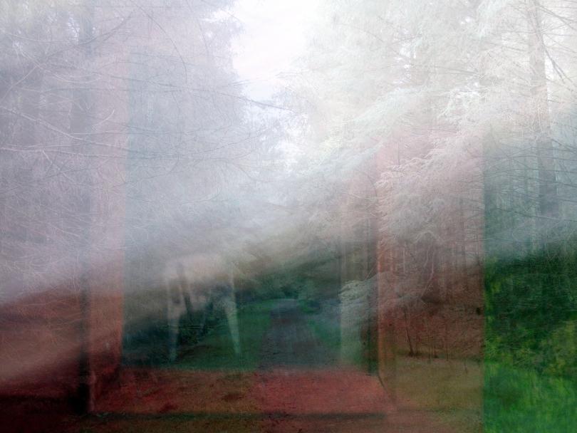 Sensory Walk and Talk: Forests, Farms and Forest Bathing