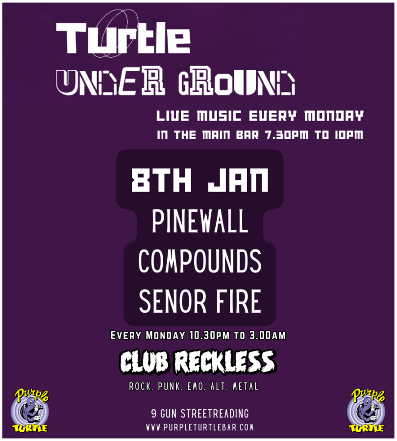 The Turtle Underground is a weekly Monday night event at The Purple Turtle. 3 Original local bands from Reading and the surrounding areas.