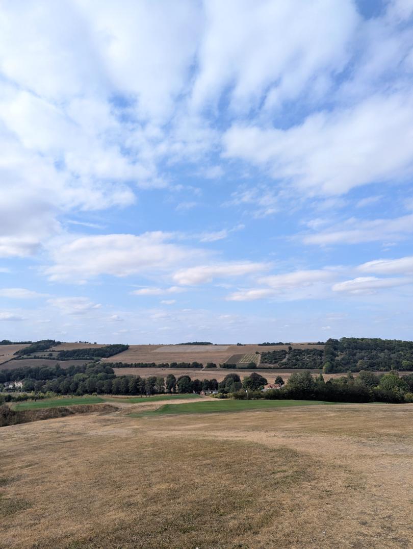 Walk Works - 7km guided walk - Streatley