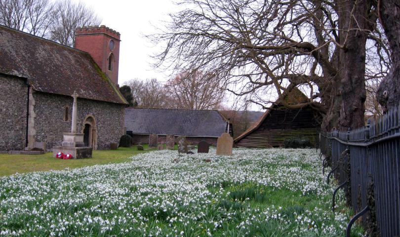 Frilsham St Frideswide churchyard with an abundance of snowdrops