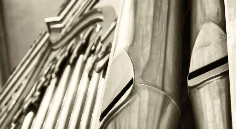 Organ Pipes