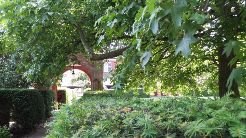 Leafy Victorian Splendour: Redlands Trees