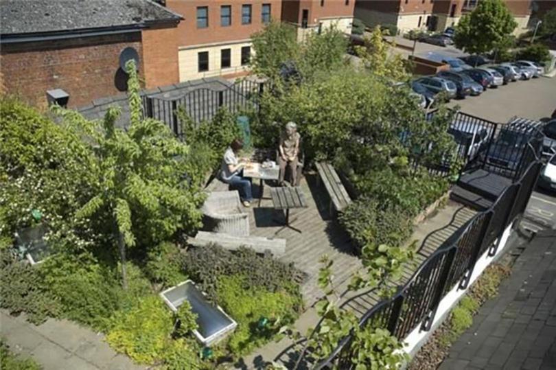 RISC Edible Roof Garden