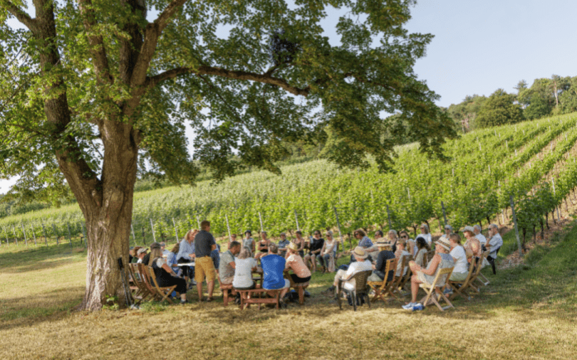 Walk Works Henley Vineyards Trail - from Fairmile to Oaken Grove