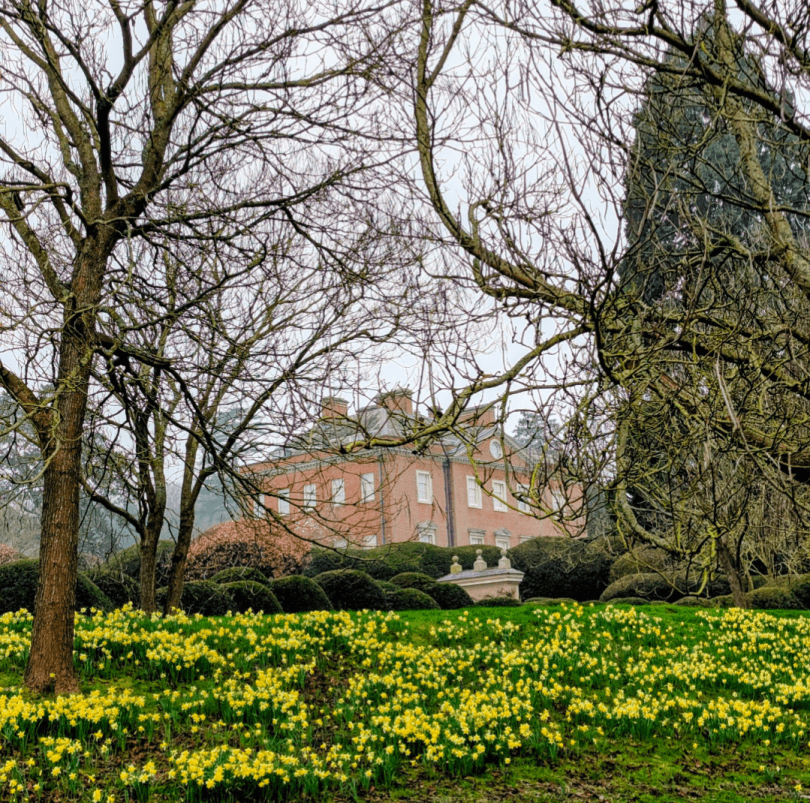 Spring guided walk with Walk Works