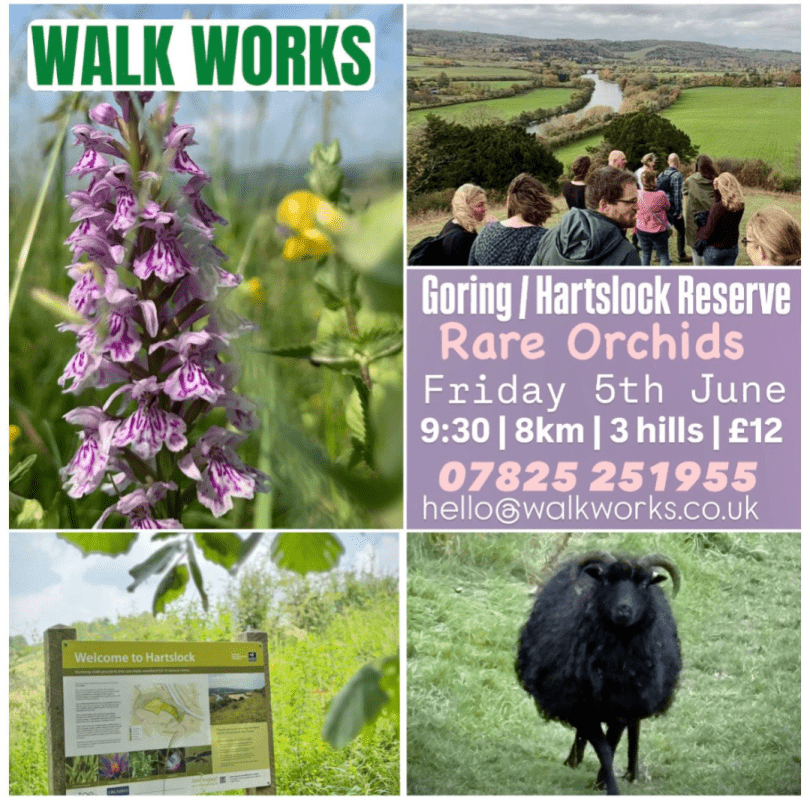 Walk Works guided walk in Goring, 5th June, 9.30am