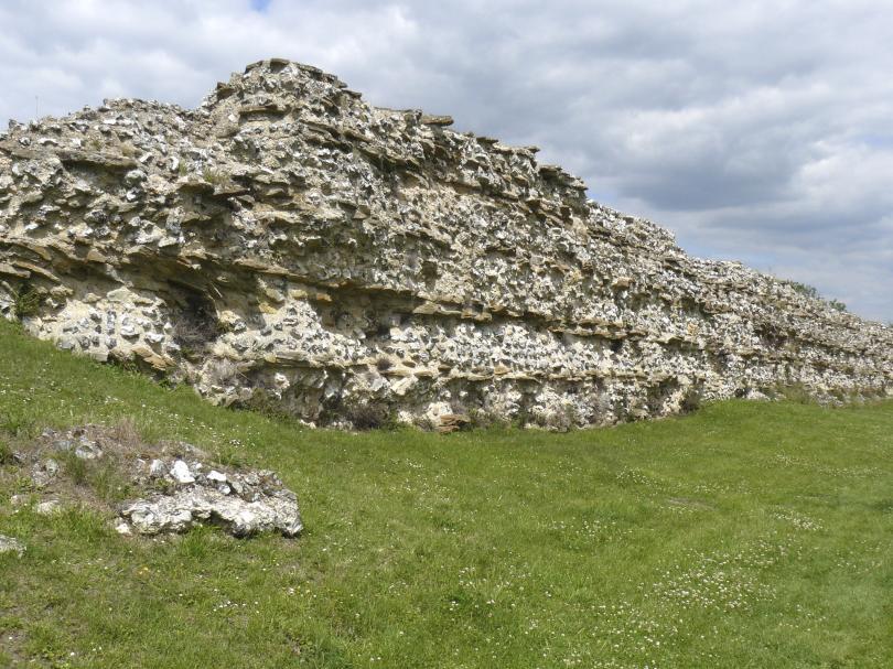 Silchester Town Wall