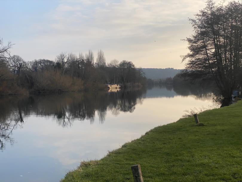 Town Centre and Thames Park Trees