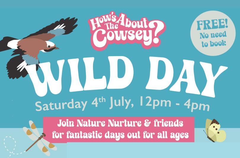 Wild Day poster
