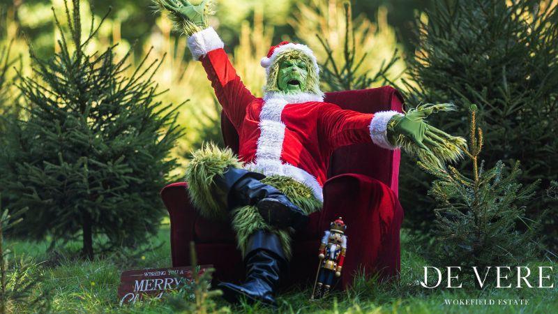 This image is of the Grumpy Green Villain 