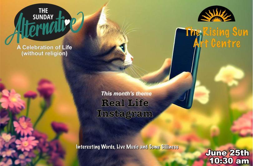 A cat taking a photo with a mobile phone