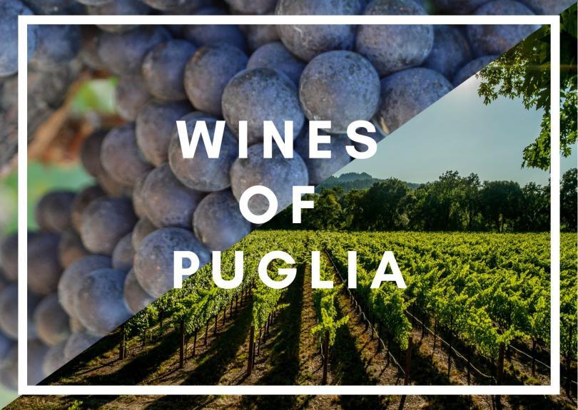 Grapes and fields in Puglia