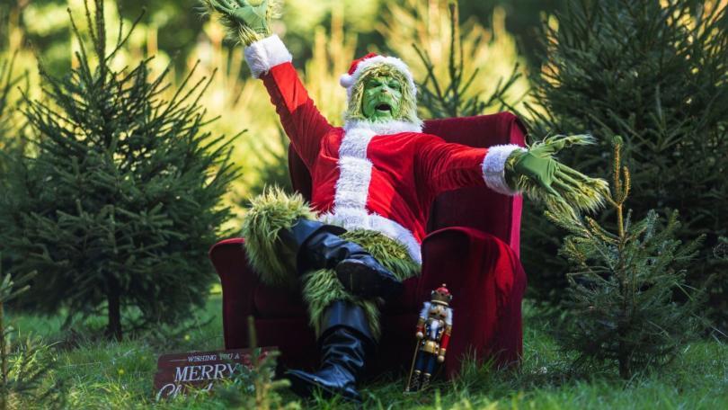 The image shows The Grinch sat in a chair dressed in a Christmas suit in the middle of a forest.