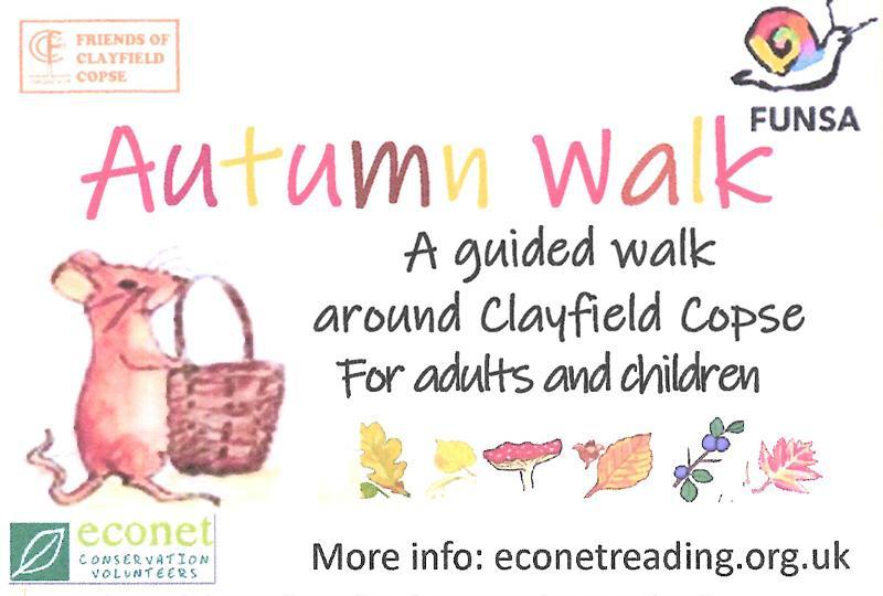 Clayfield Copse Autumn Walk
