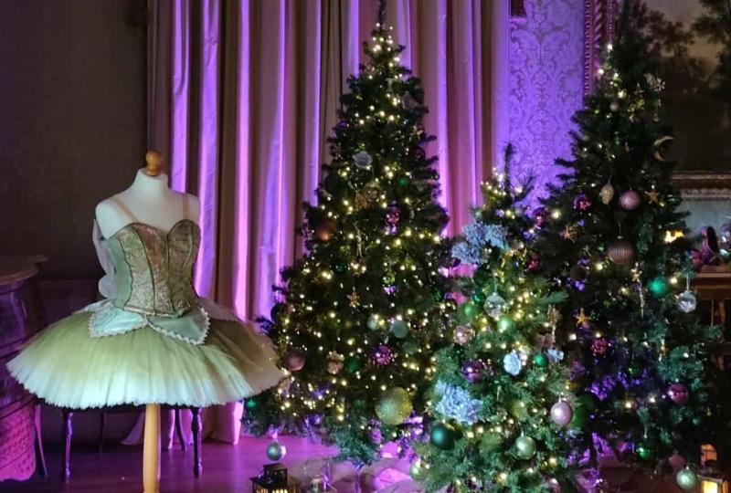 A green and pink ballet tutu sits next to three different sized christmas trees decorated in green and purple baubles. Behind the costume and trees is a purple light casting light and shadow over the group and the curtain behind. 