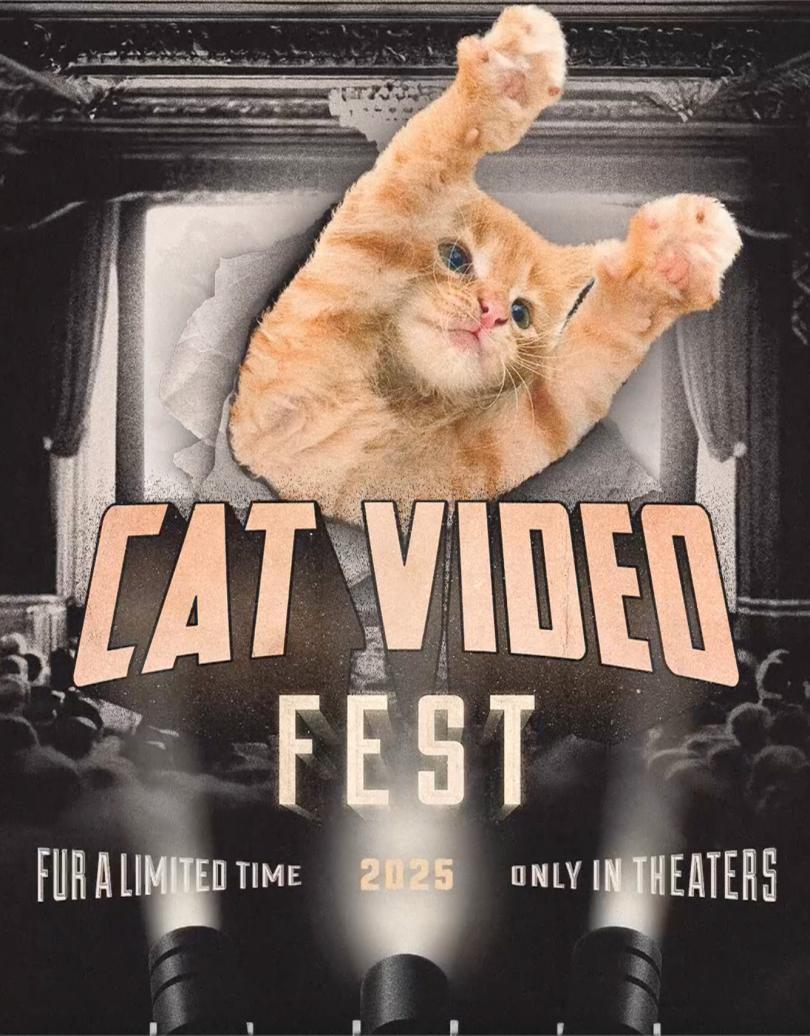 poster for CAT VIDEO FEST 2025 with a photo of a cat seemingly bursting through a cinema screen
