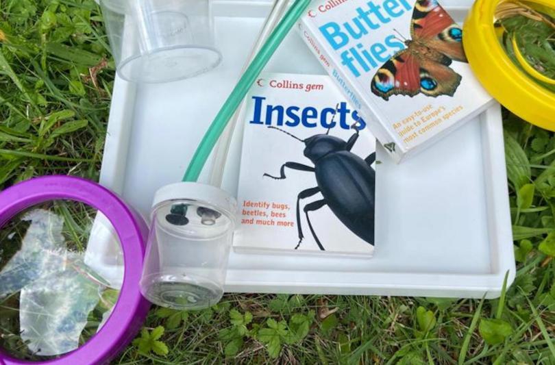 Bug Club: Creepy Crawly Crew