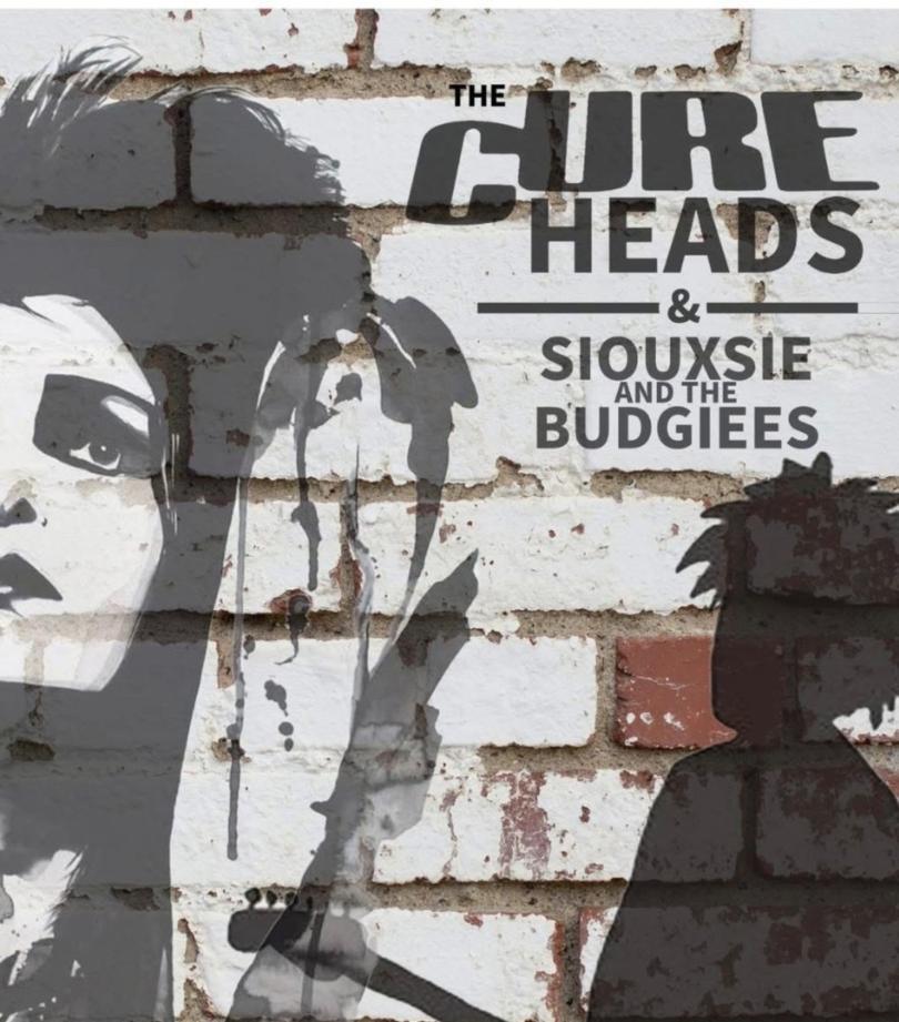 Illustration Portrait of Siouxsie Sioux & Robert Smith 