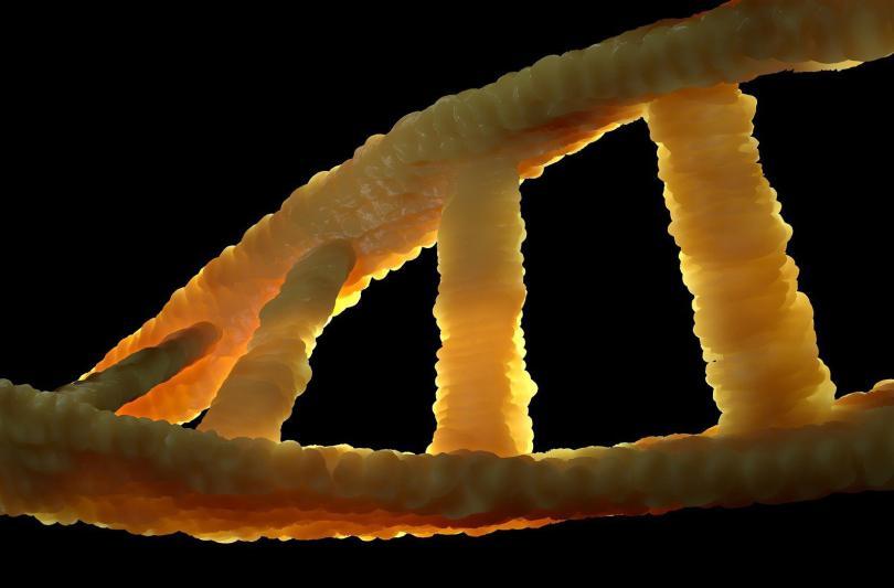 image of DNA helix