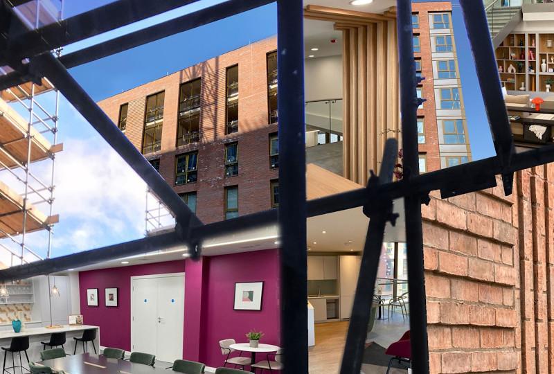 Our Domain Public Art Project