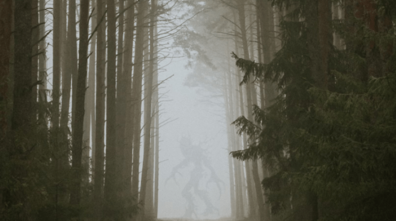 Hazy trees and foggy sky