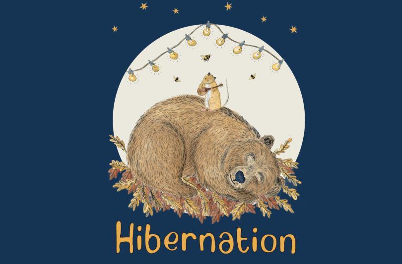Hibernation