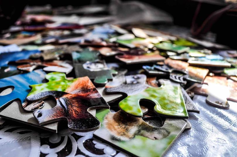 Jigsaw Puzzle Pieces