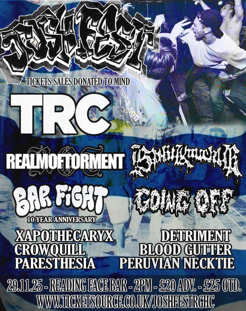 Joshfest poster featuring logos of the bands performing, mostly in illegible fonts