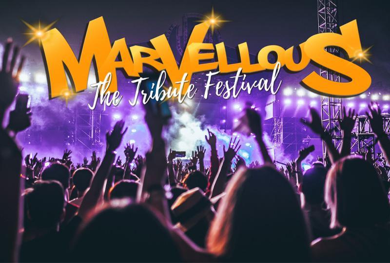 Marvellous Festival 2025 logo