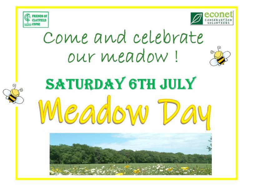 Meadows Day at Clayfield Copse