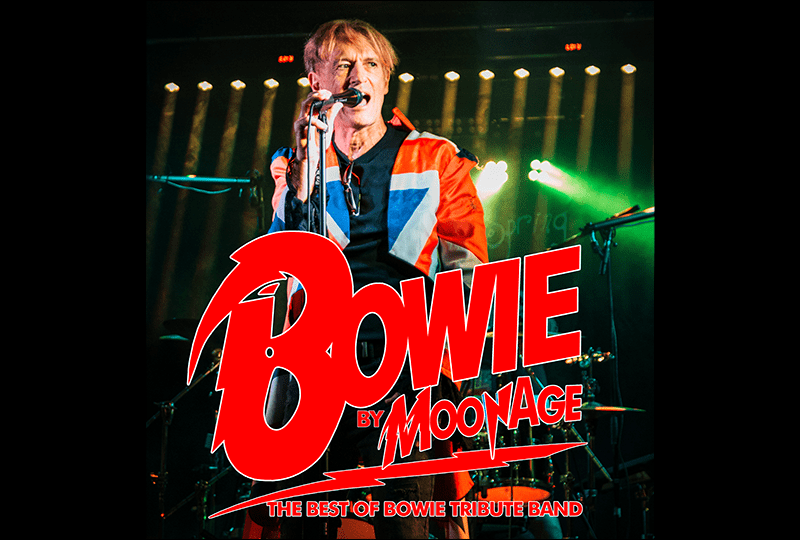 Bowie Tribute